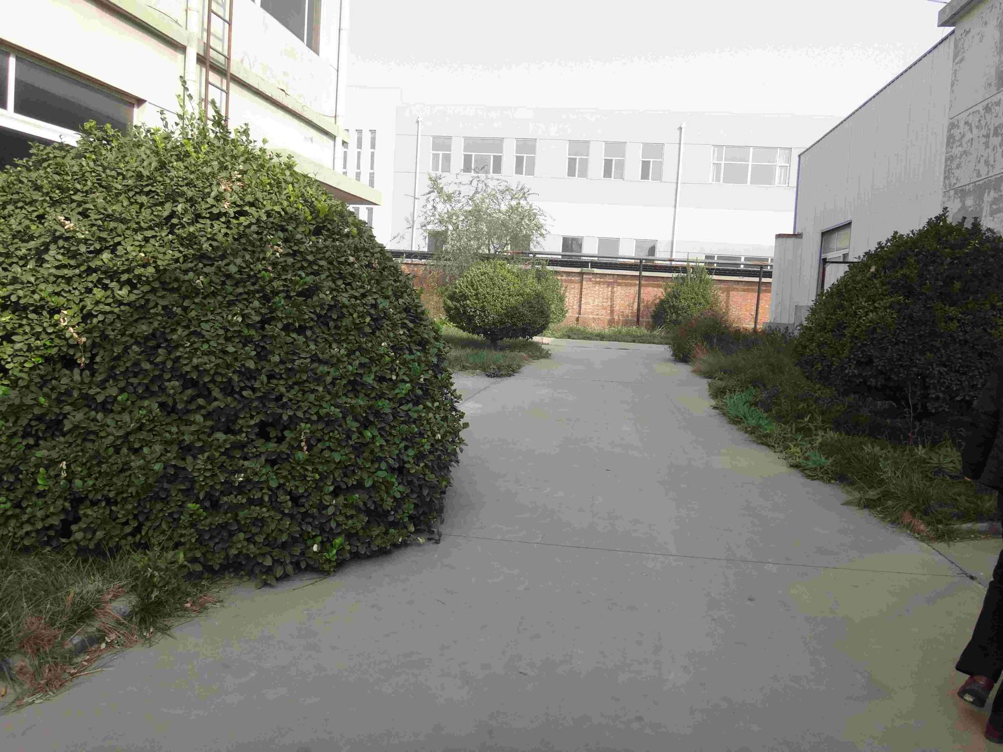 梅厂厂房出租