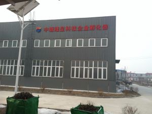 天津市中塘隆呈投资发展有限公司