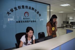 天津北新文化传媒集团有限公司