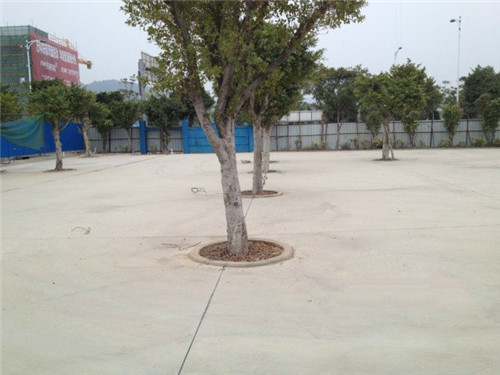 唐山路北44亩土地租赁（可分租小面积）