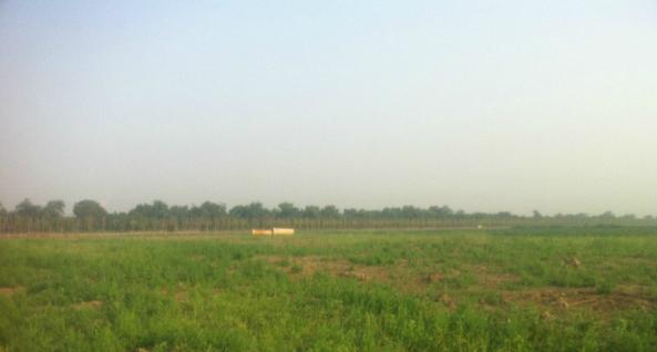 出租东丽津汉公路15~20亩土地